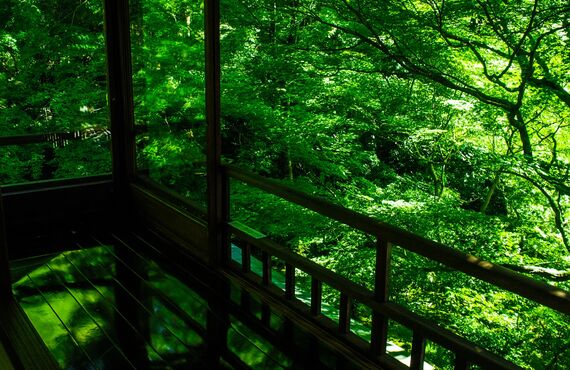 ZOOMセッションで悩みの根本原因が解消できます