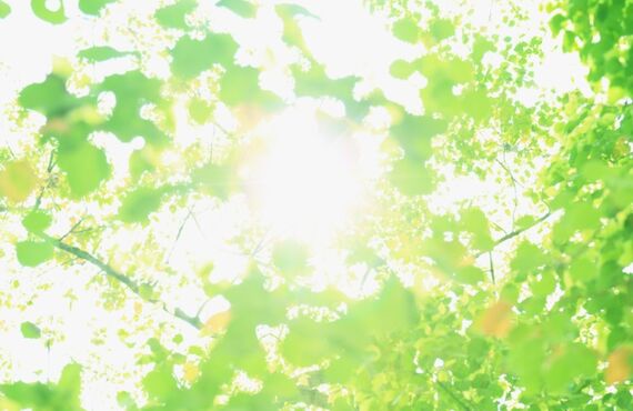 誰でもセルフヒーリングを身に付けて深い傷を癒しブロックから自由になれます